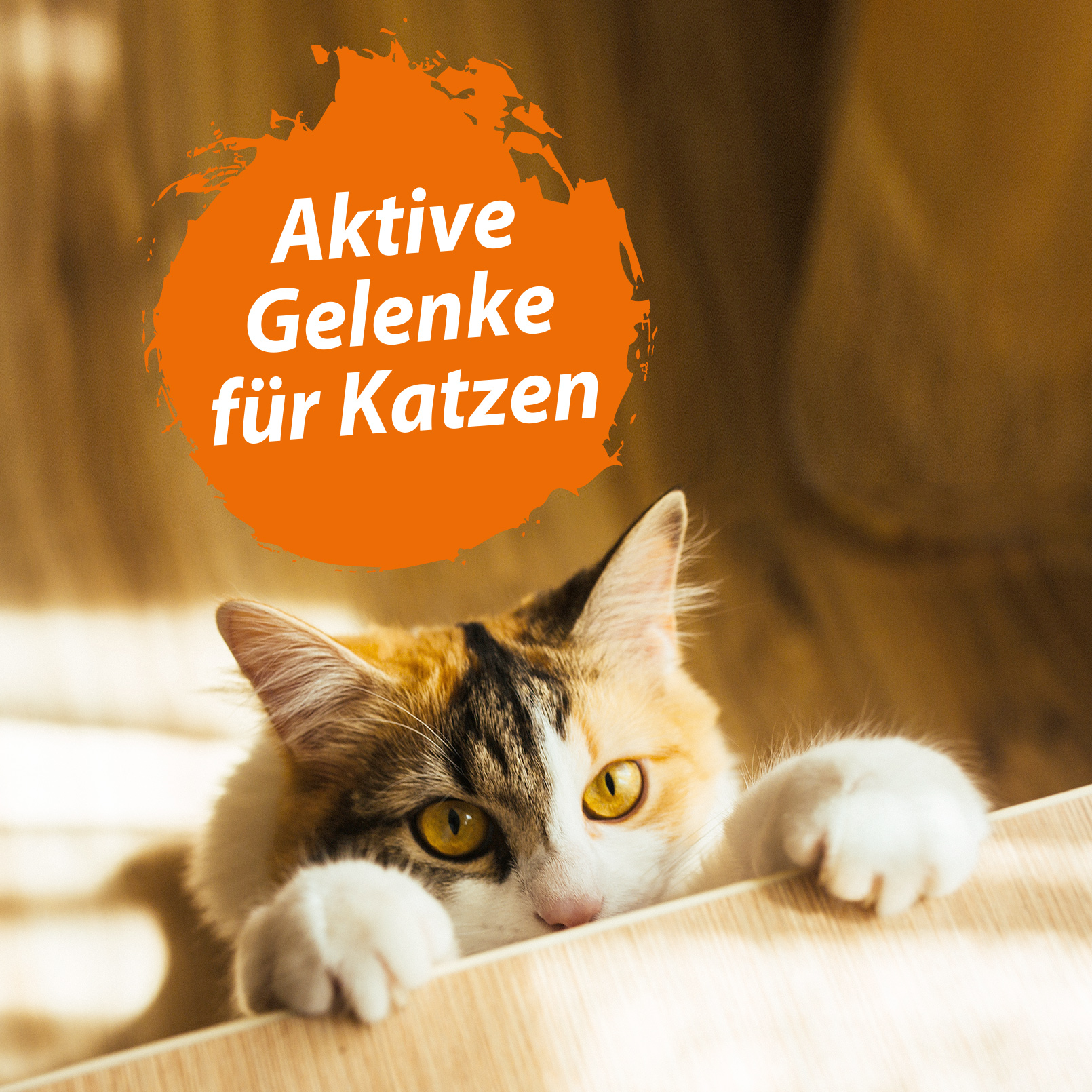 Ida Plus Teufelskralle fein vermahlenes Pulver für Hunde, Katzen